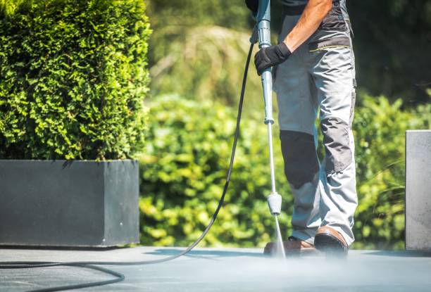 Best Sidewalk and Walkway Cleaning  in Moss Beach, CA