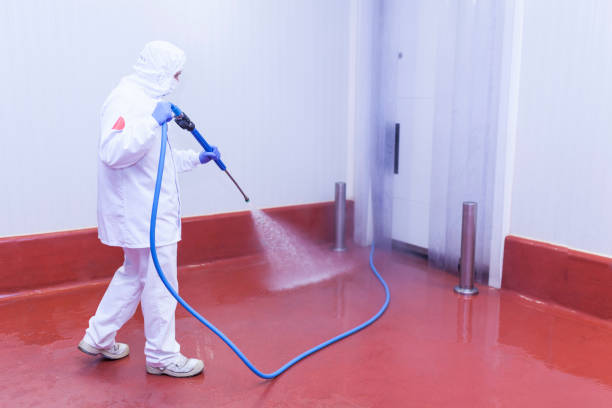 Best Building Exterior Washing  in Moss Beach, CA